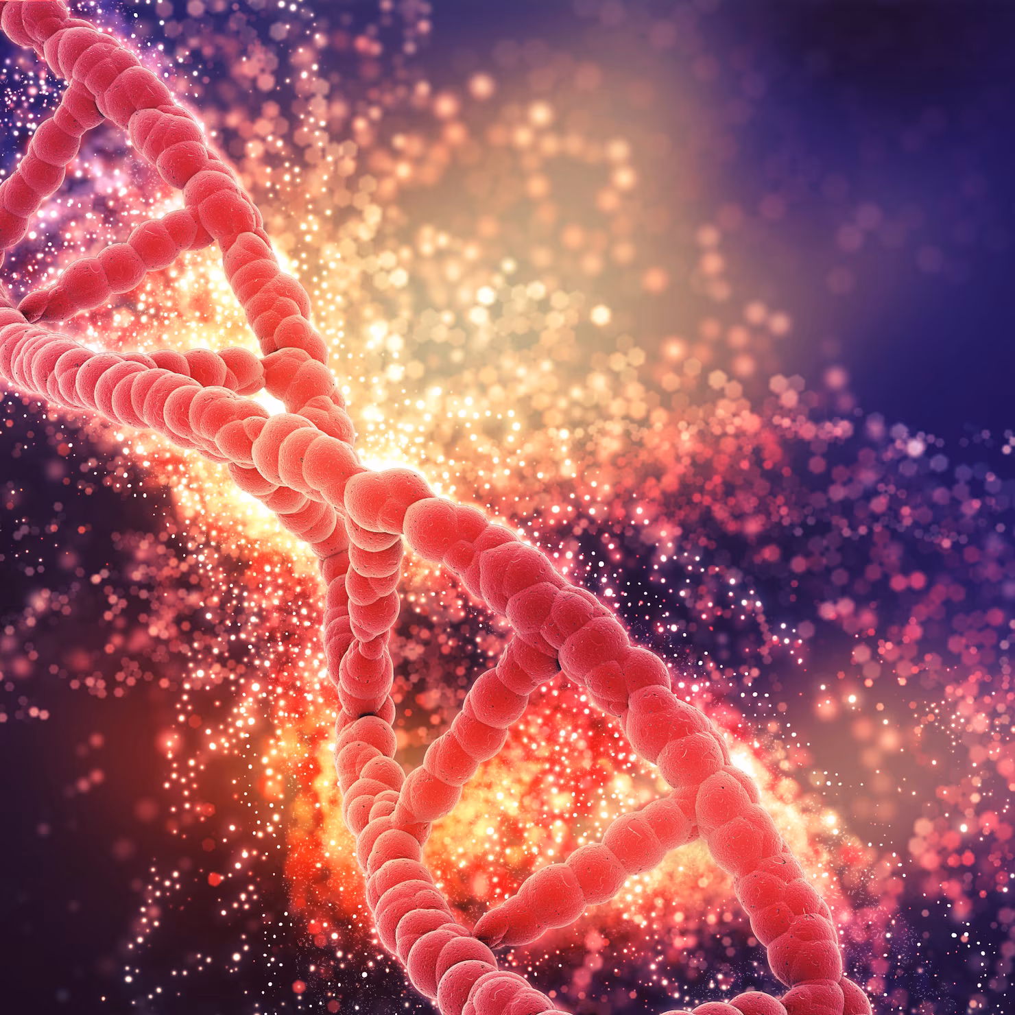 red dna strand 1048 1489